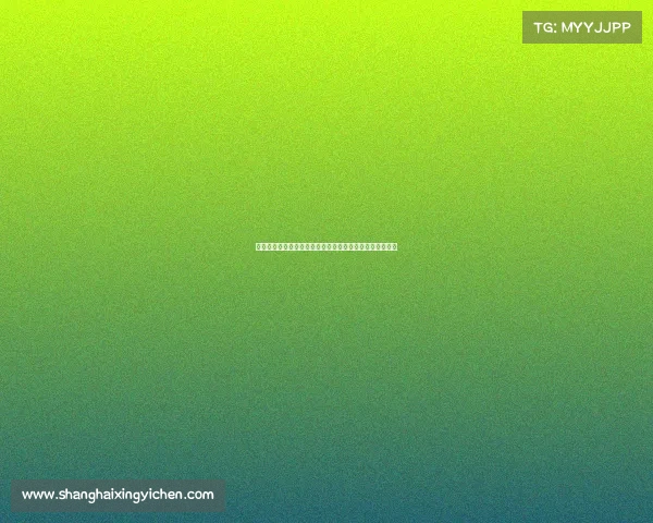 黄山自行车赛事穿越云雾缭绕山路体验速度与激情极致挑战