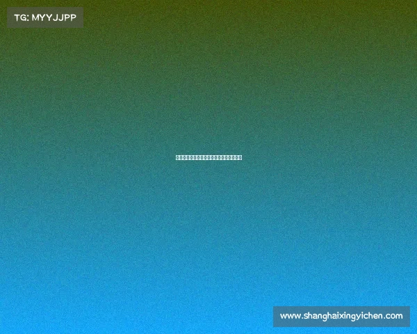 塞内加尔球队赛事、塞内加尔队最新大名单 塞内加尔球队赛事、塞内加尔队最新大名单